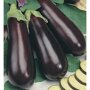 Buzzy ® Aubergine Halflange Violette